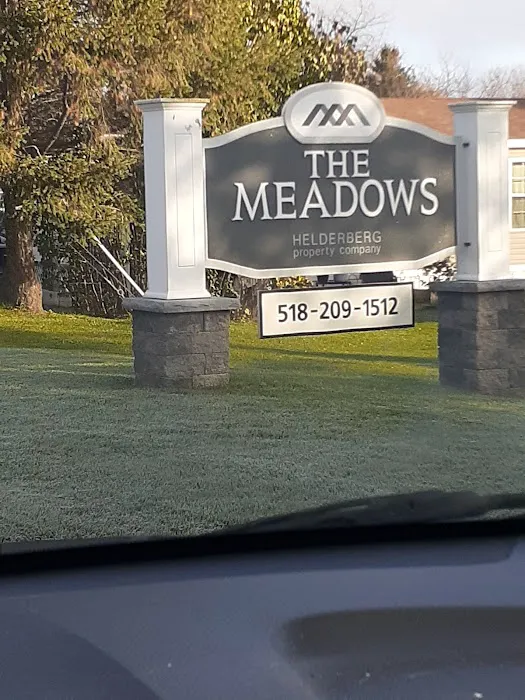 The Meadows Picture 6