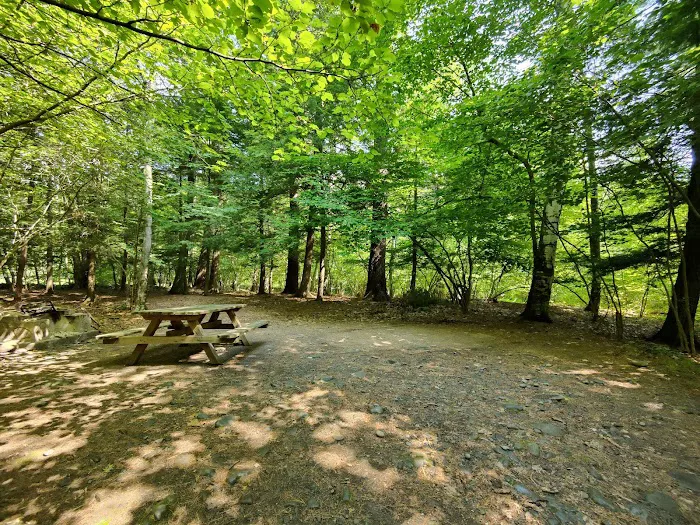 Kenneth L. Wilson Campground Picture 6