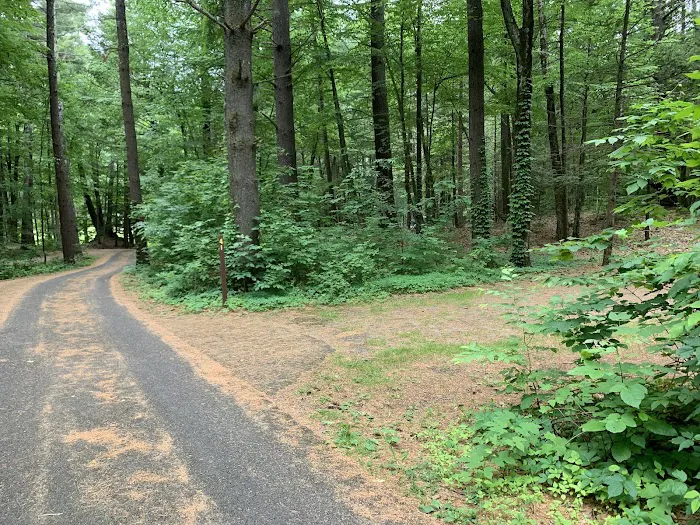 Kenneth L. Wilson Campground Picture 10