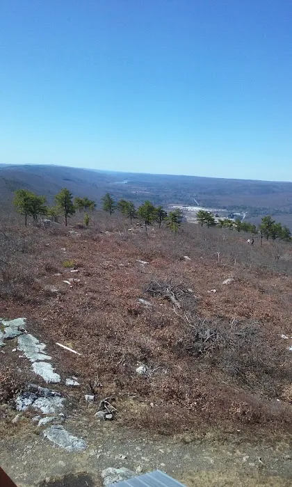 Land & Forest Department Picture 1