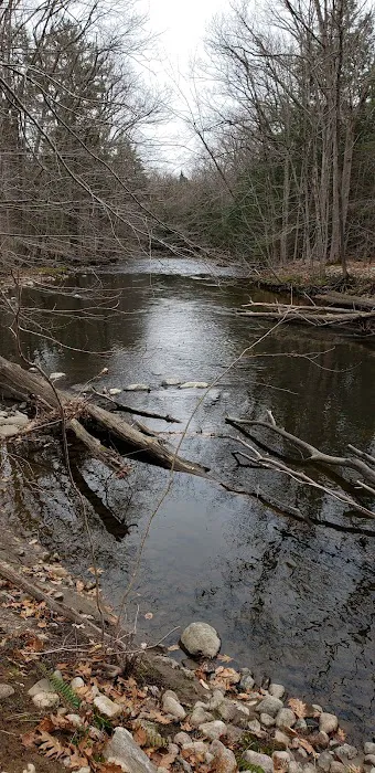Whispering Pines Community Picture 6