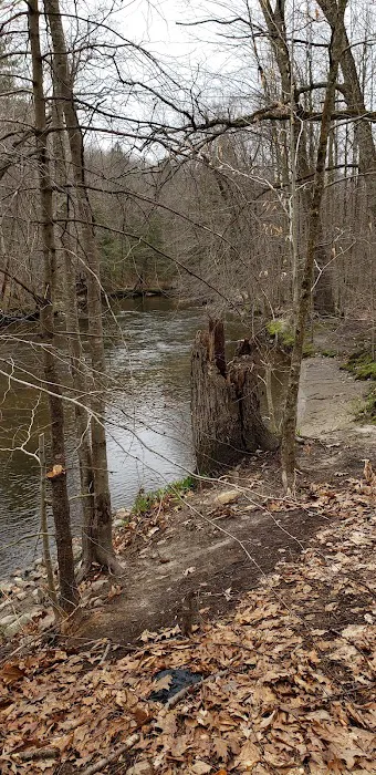 Whispering Pines Community Picture 5