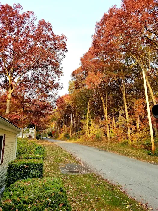 Blue Sky Homes LLC Picture 7