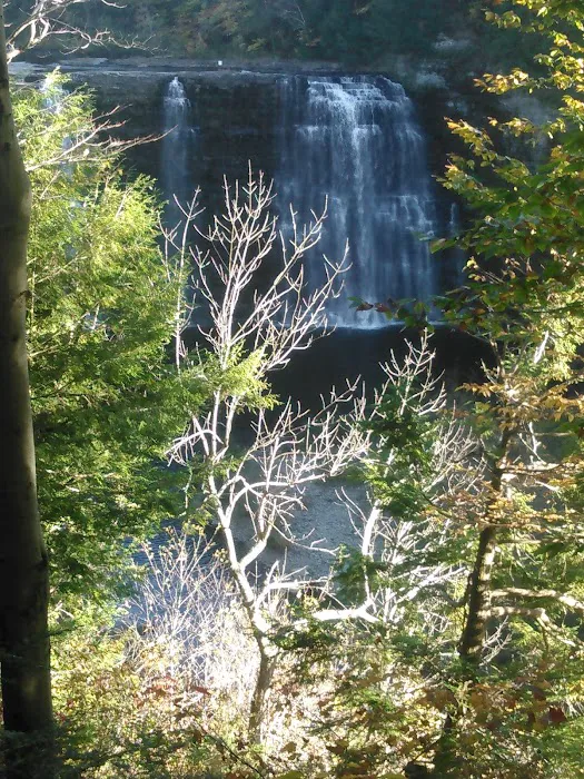 J & J Campgrounds Picture 4