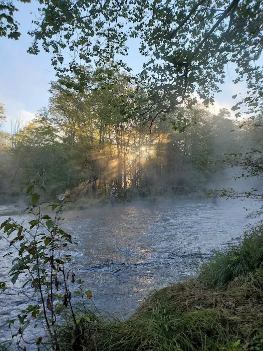 Brown's Campground Picture 6