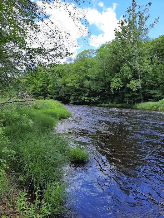 Brown's Campground Picture 10