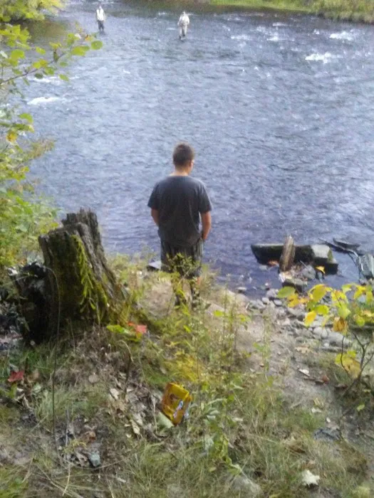 Stoney's Pineville Campground Picture 7