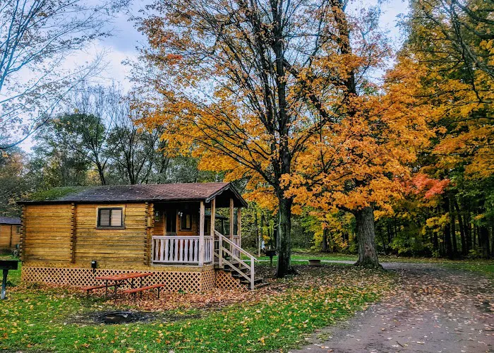 Yogi Bear's Jellystone Park at Mexico, NY Picture 9