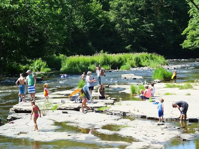 Yogi Bear's Jellystone Park at Mexico, NY Picture 1