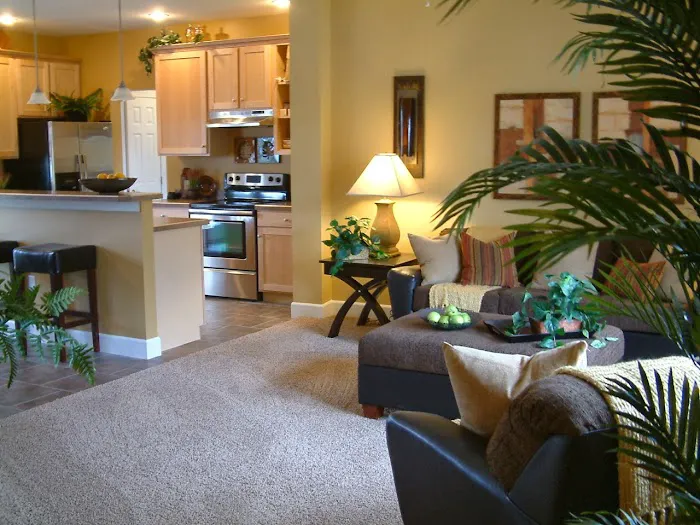 Brittany Terrace Picture 5