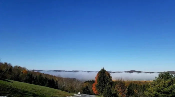 Scenic View Campground Picture 4