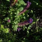 Heritage Acres Mobile Home Park