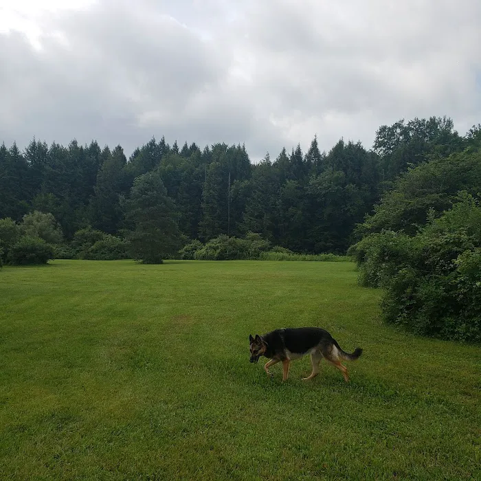 Spruce Creek Campground Picture 10