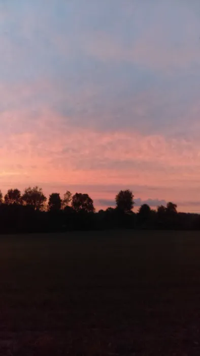 Northway Mobile Home Community Picture 2