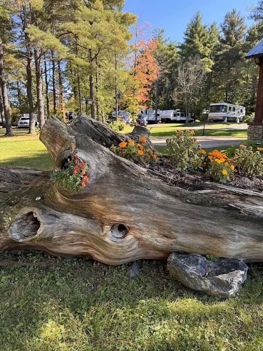 Pine Park RV Campground and Pavilion Picture 8