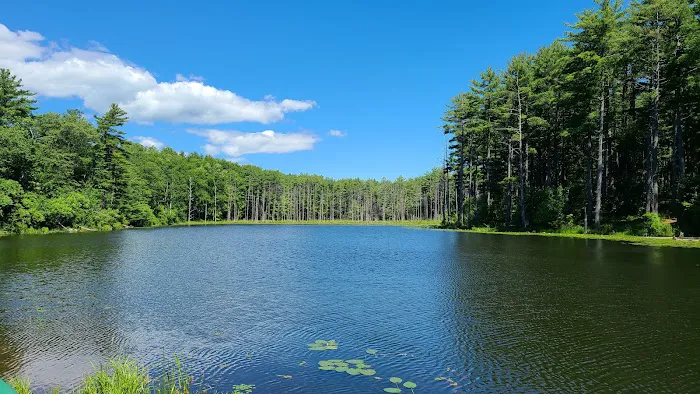 Whip-O-Will Campground Picture 1