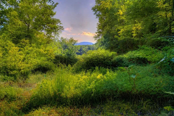 Wild Hudson Valley Picture 3