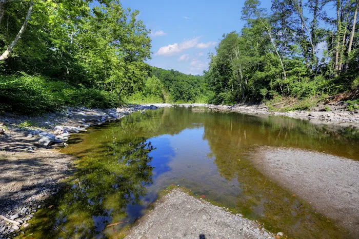 Wild Hudson Valley Picture 10