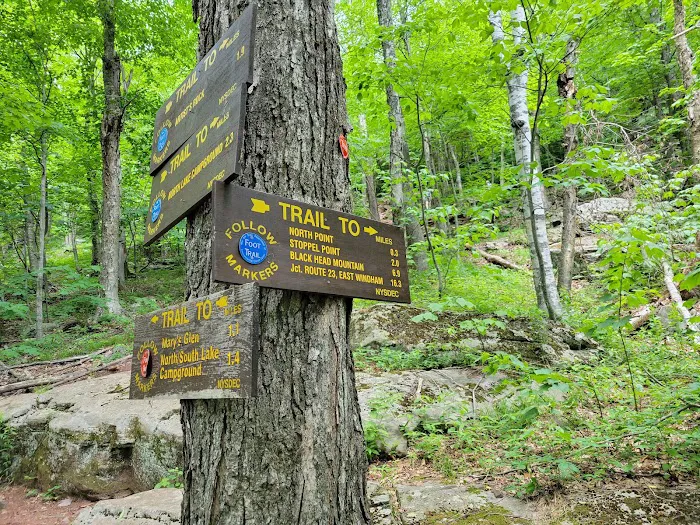 North/South Lake Campground Picture 3