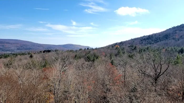 Devils Path Trail. Camp Area Picture 4
