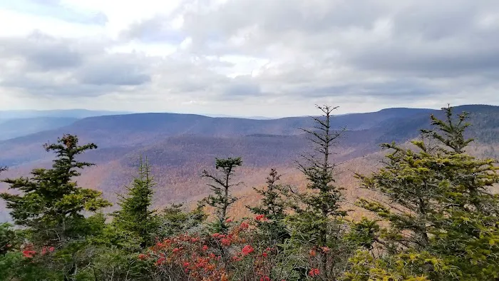 Devils Path Trail. Camp Area Picture 2