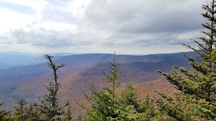 Devils Path Trail. Camp Area Picture 1