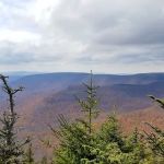 Devils Path Trail. Camp Area