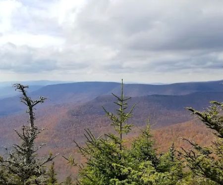 Devils Path Trail. Camp Area