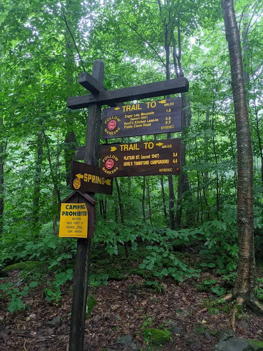 Devils Path Trail. Camp Area Picture 7
