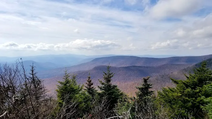 Devils Path Trail. Camp Area Picture 3