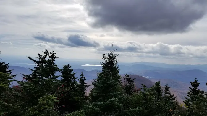 Devils Path Trail. Camp Area Picture 9