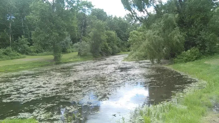 Brookside Mobile Home Park Picture 2