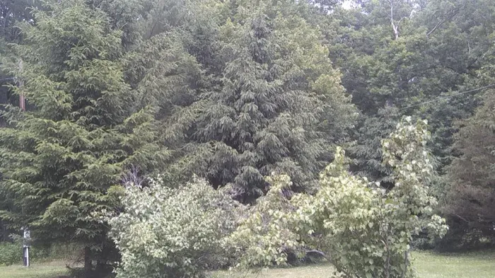 Brookside Mobile Home Park Picture 10