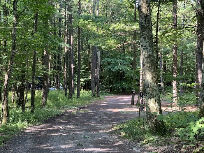Getaway Eastern Catskills Campground - Castle Road Picture 7