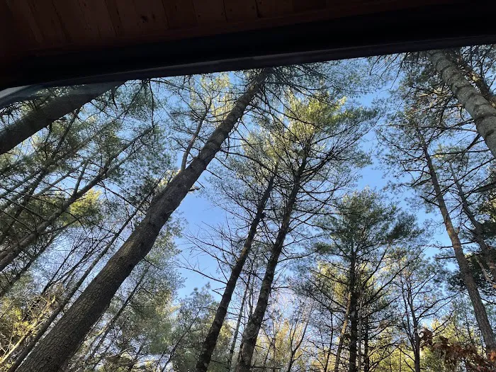 Getaway Eastern Catskills Campground - Castle Road Picture 1