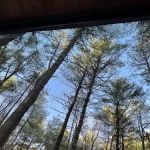 Getaway Eastern Catskills Campground - Castle Road