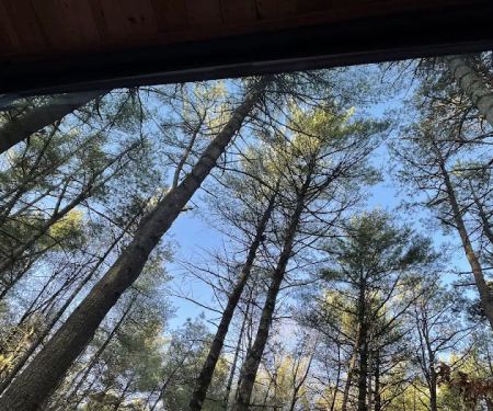 Getaway Eastern Catskills Campground - Castle Road