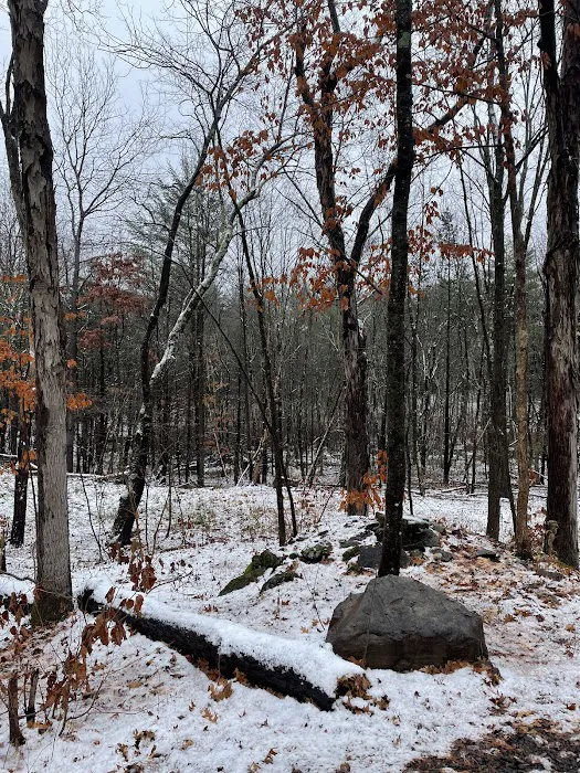 Getaway Eastern Catskills Campground - Castle Road Picture 8