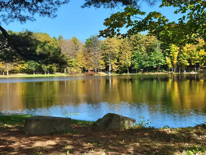 Earlton Hill Campground & RV Park LLC Picture 8