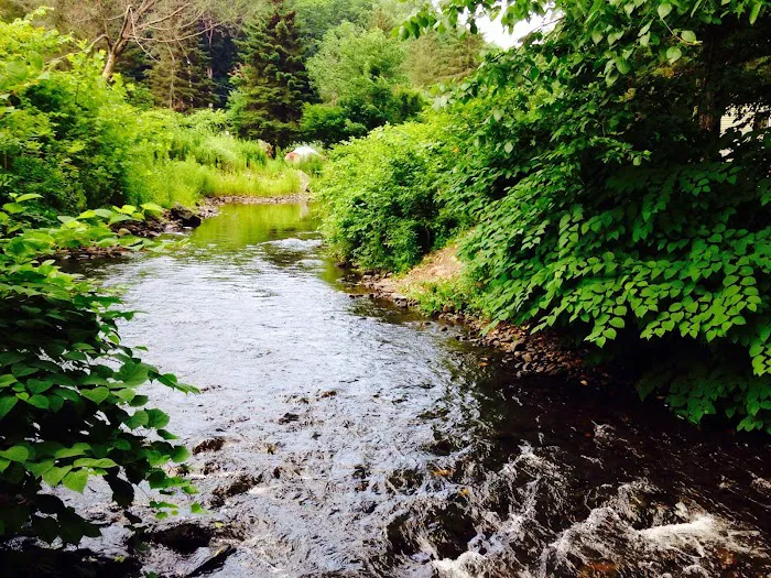 Spring Glen Campgrounds Inc Picture 9