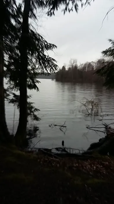 Hall Island Picture 6
