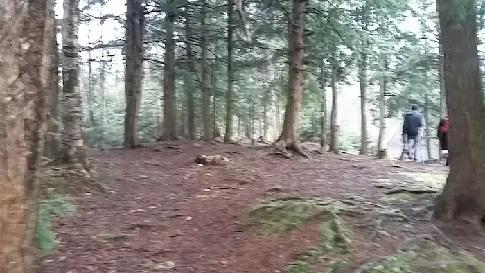 Hall Island Picture 1