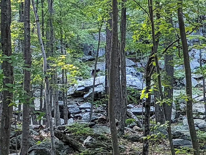 Agatha A. Durland Scout Reservation Picture 4