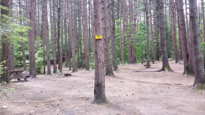 Pop's Lake Campground Picture 1