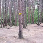 Pop's Lake Campground