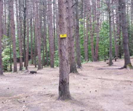 Pop's Lake Campground