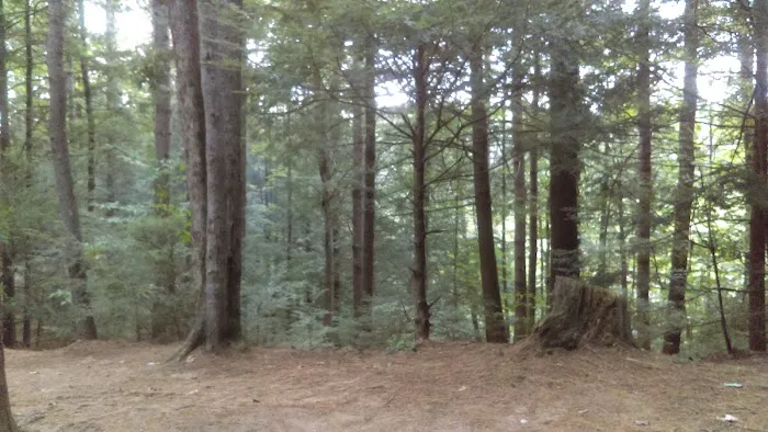 Pop's Lake Campground Picture 4