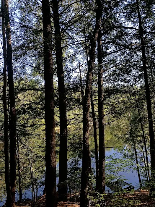 Pop's Lake Campground Picture 5