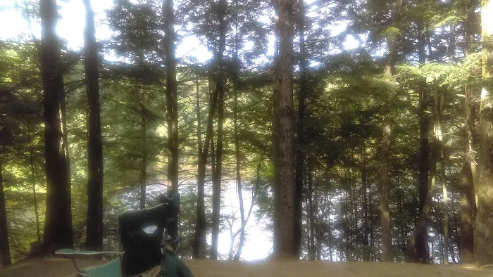 Pop's Lake Campground Picture 9