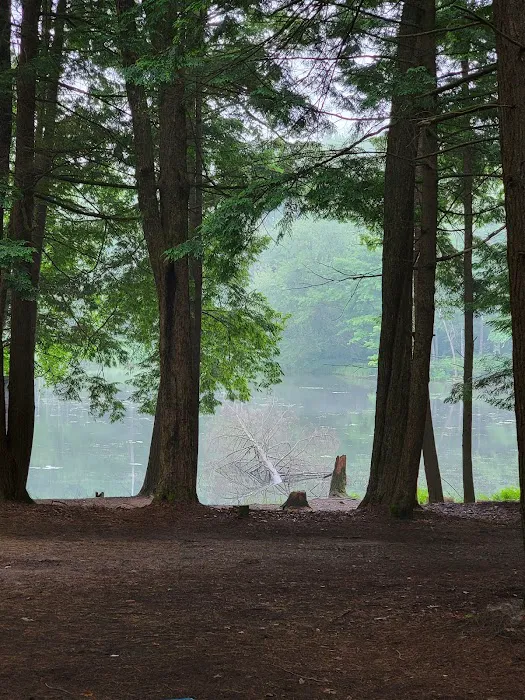 Girl Scout Camp Woodhaven Picture 5